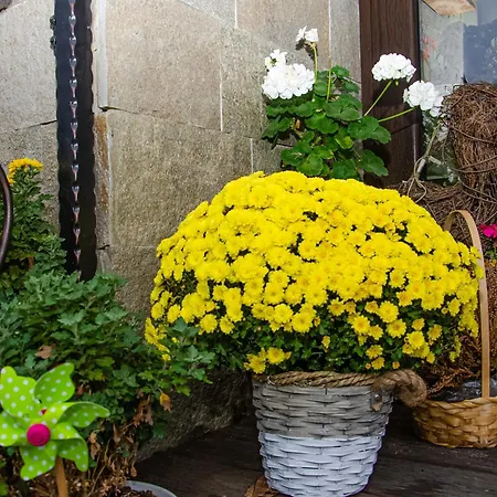 Sveti Nikola Family * Sapareva Banja